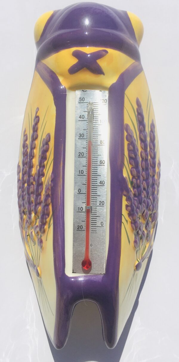 Cigale Thermometre